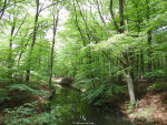 Twickelervaart